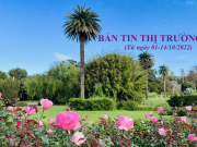 Bản tin thị trường Úc giữa Tháng 10/2022